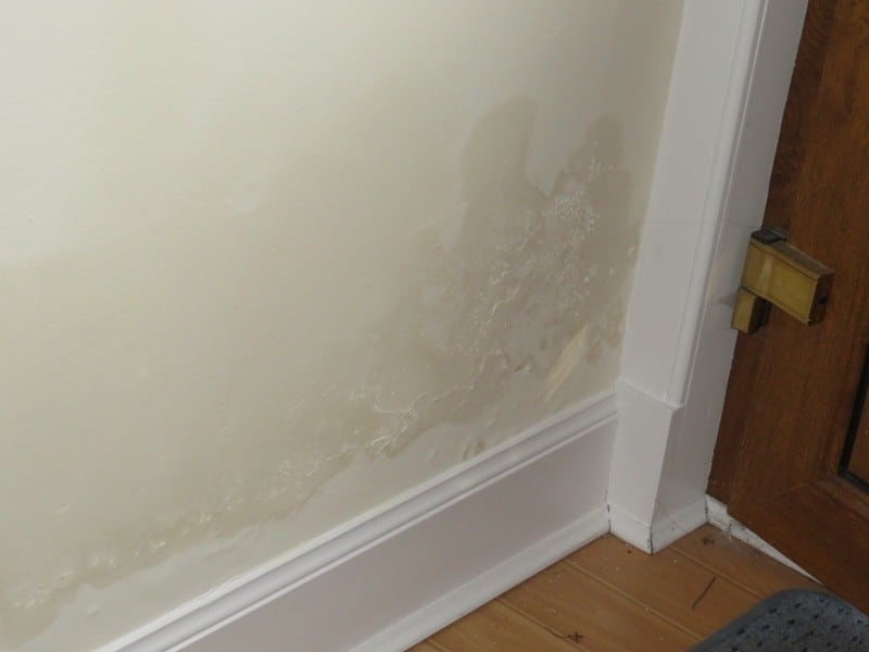 rbbaltd damp expert wall